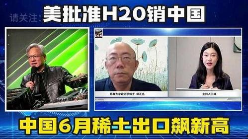 国产稀土出口视频,中国科技实力与全球供应链的深度融合