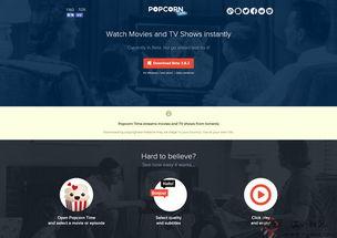 bt 国产视频播放器,畅享影视新体验