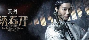 国产武打片百看不厌视频,国产武打片中的经典瞬间与传承精神