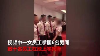 国产sm女s调教视频,揭秘隐秘欲望的释放与束缚