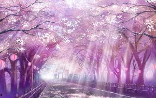 国产樱花视频导航,畅游国内优质影视资源宝库