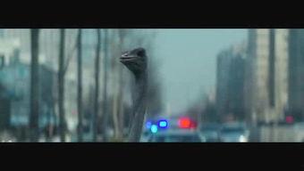 国产电影114精品视频,光影盛宴，尽享视听盛宴