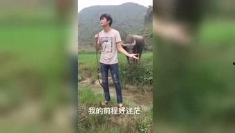 国产情趣福利视频69