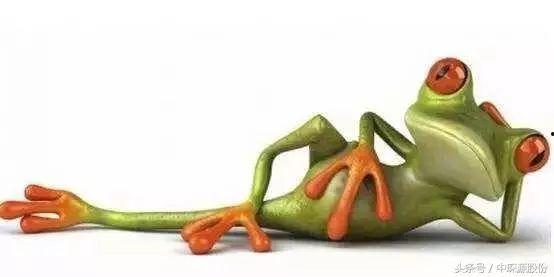 福利视频国产小青蛙,萌动心弦的福利视频之旅