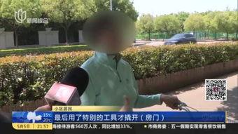 国产夫妻视频直播小树林,国产夫妻直播小树林，揭秘网络直播的私密世界