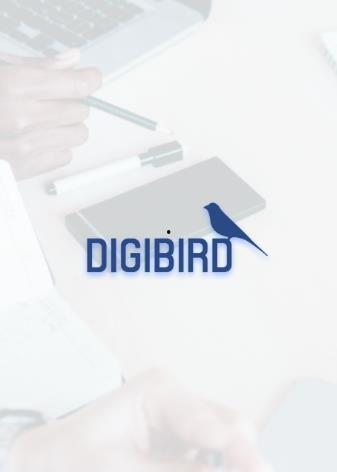 国产在线小鸟视频播放,畅享视听盛宴，解锁精彩瞬间