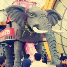 大象大象视频国产图片,国产动画中的奇幻之旅